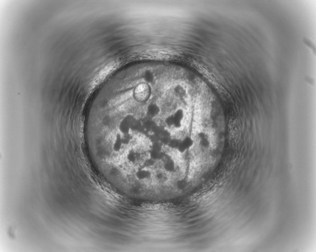 X0000093450679200711021114