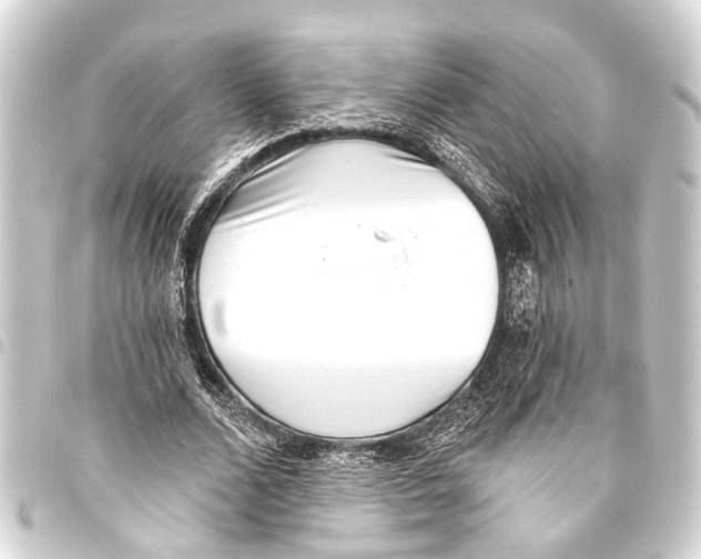 X0000093450680200711021114