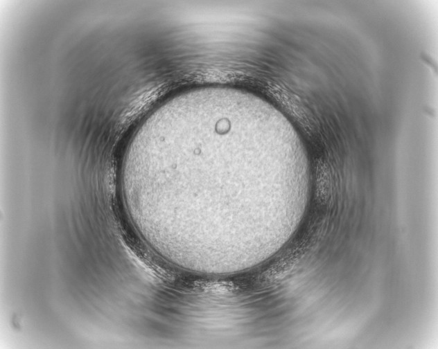 X0000093450683200711021114