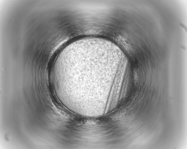 X0000093450684200711021114