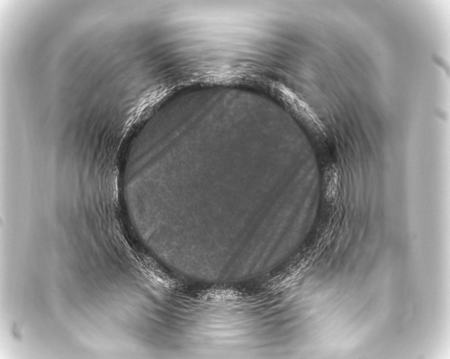 X0000093450685200711021114