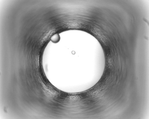 X0000093450686200711021114