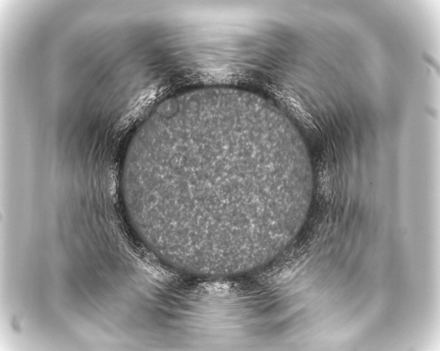 X0000093450687200711021114