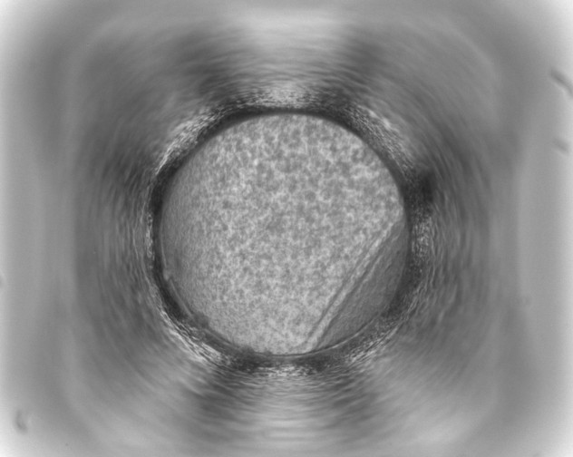 X0000093450688200711021114