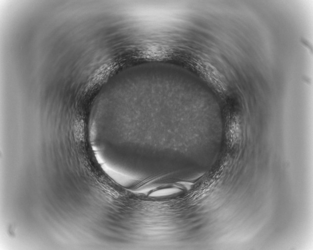 X0000093450689200711021114