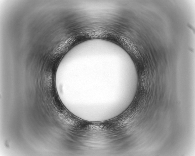 X0000093450690200711021114