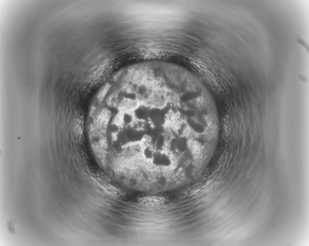 X0000093450691200711021114