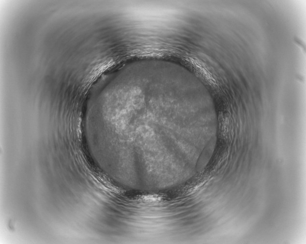 X0000093450692200711021114