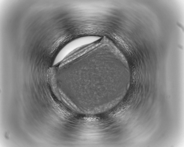 X0000093450693200711021114