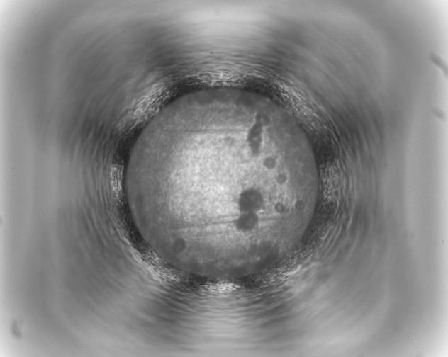 X0000093450695200711021114