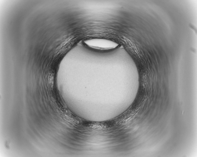 X0000093450697200711021114