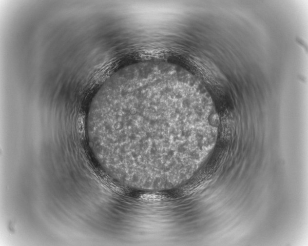 X0000093450699200711021114