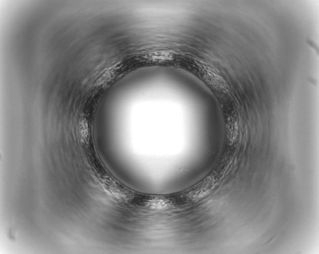 X0000093450704200711021114