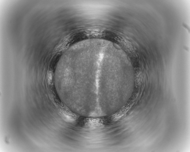 X0000093450709200711021114