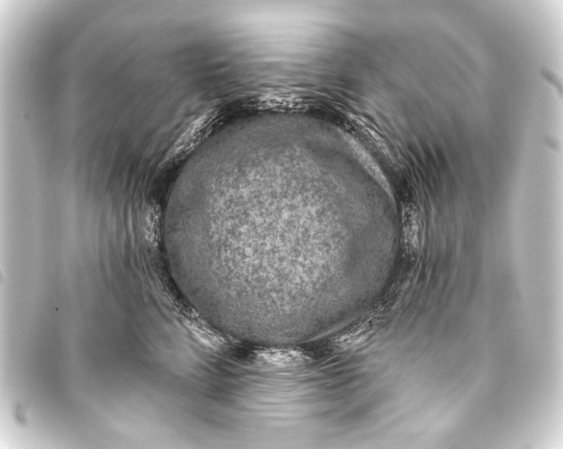 X0000093450712200711021114