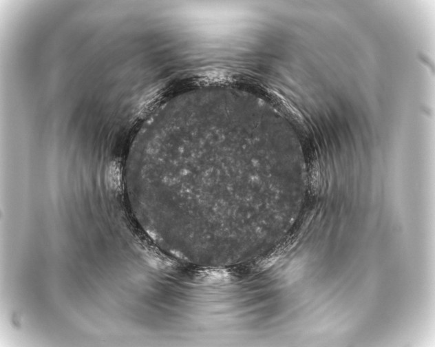 X0000093450715200711021114