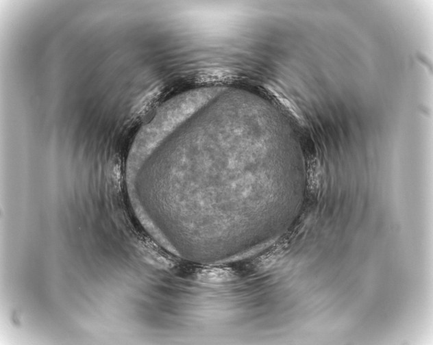 X0000093450716200711021114