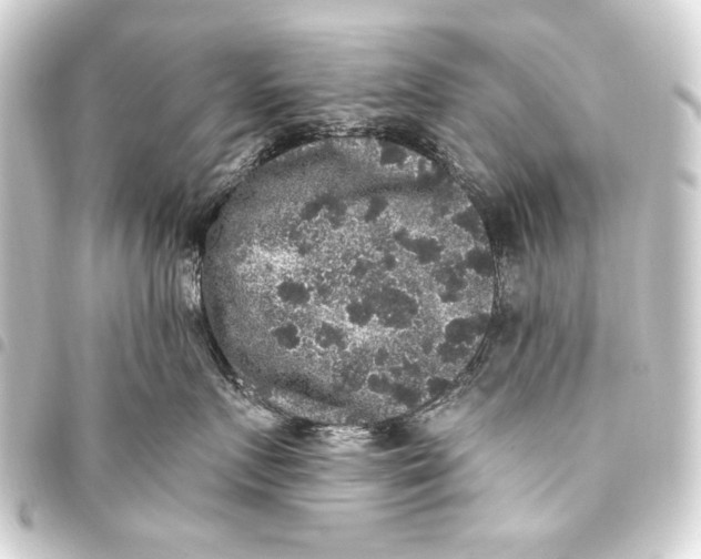 X0000093450719200711021114