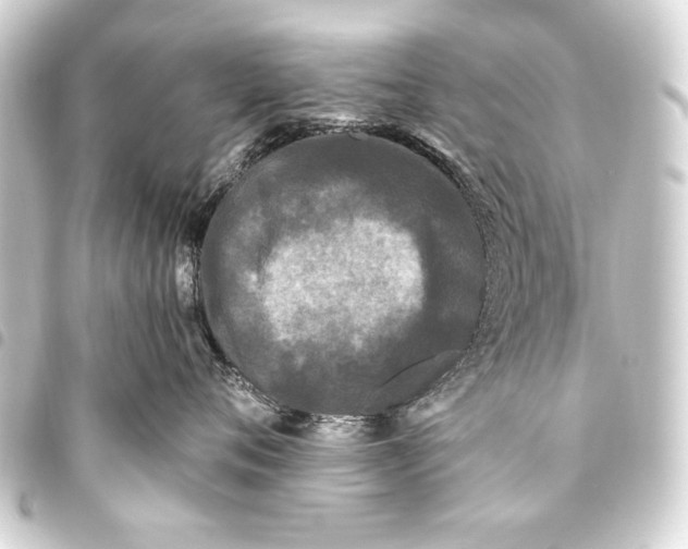 X0000093450720200711021114