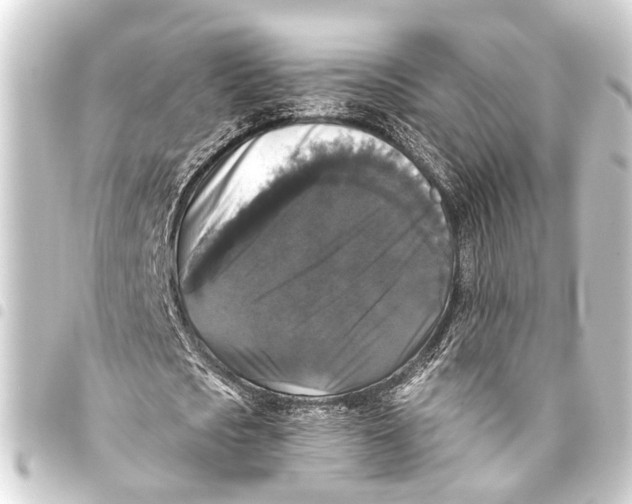 X0000093450721200711021113