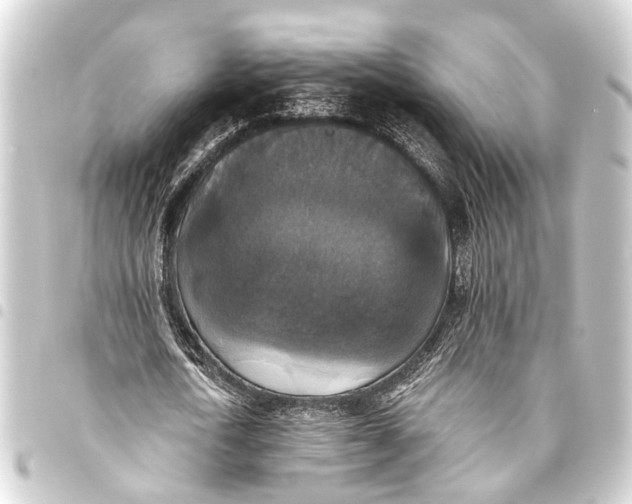 X0000093450722200711021113