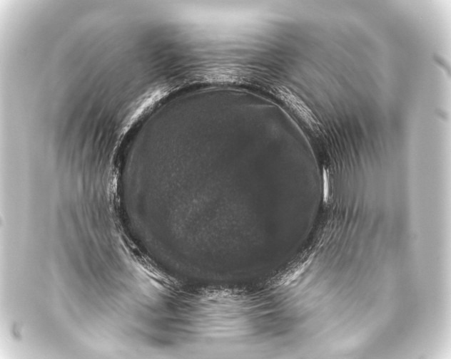 X0000093450723200711021113