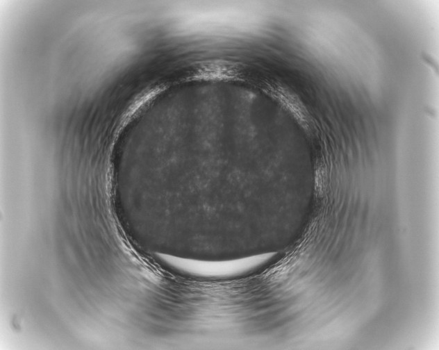 X0000093450724200711021113