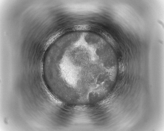 X0000093450725200711021113