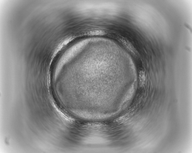 X0000093450726200711021113