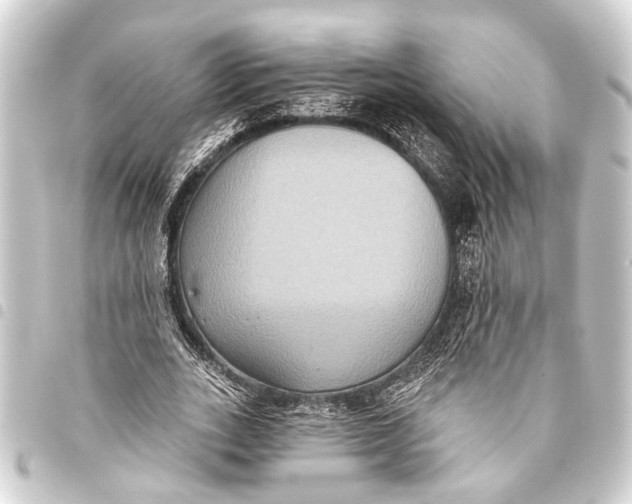 X0000093450727200711021113