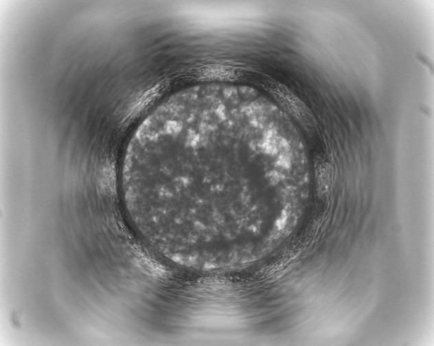 X0000093450729200711021113