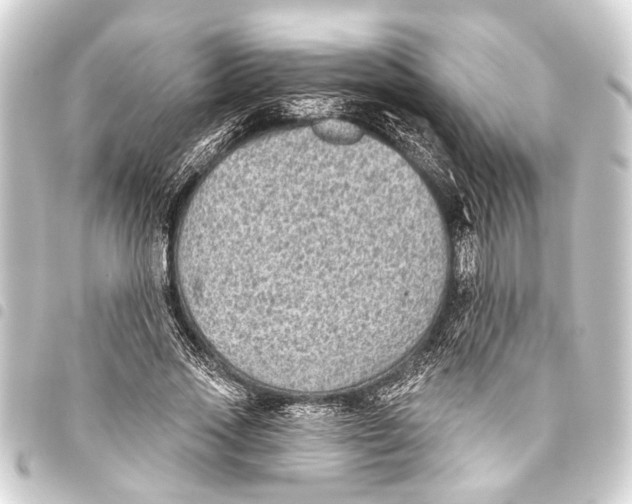 X0000093450733200711021113