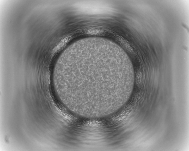 X0000093450734200711021113