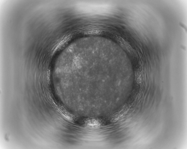 X0000093450735200711021113