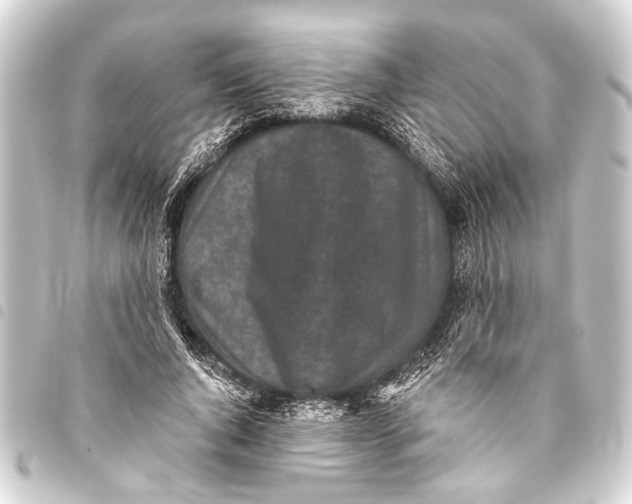 X0000093450736200711021113