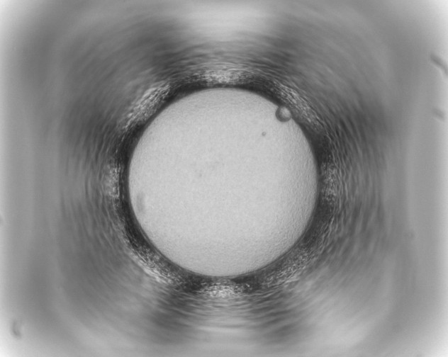 X0000093450738200711021113