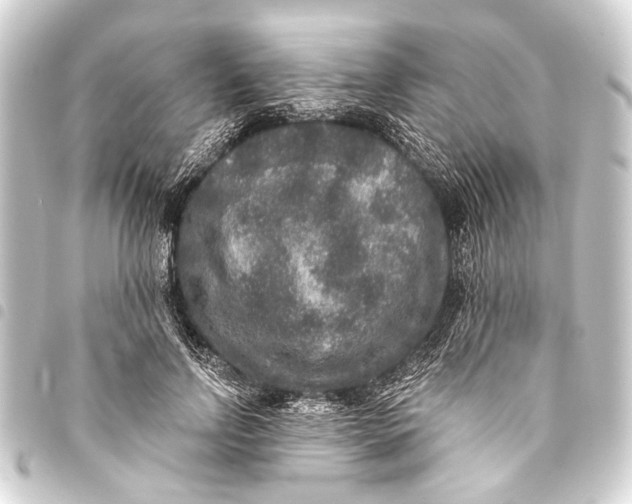 X0000093450742200711021113