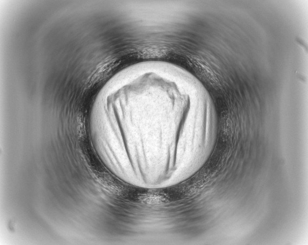 X0000093450743200711021113