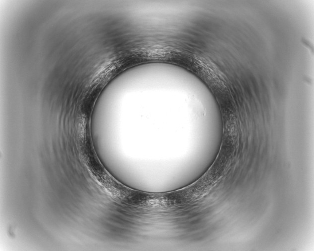 X0000093450744200711021113