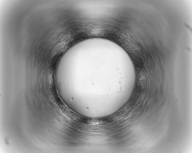 X0000093450746200711021113