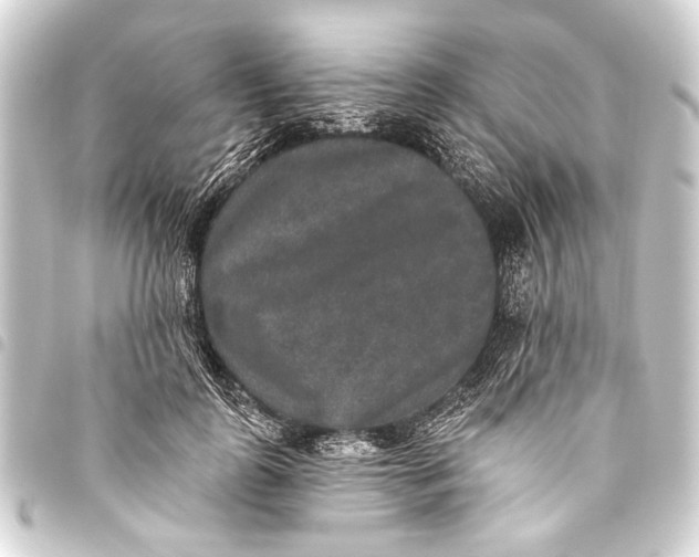 X0000093450747200711021113