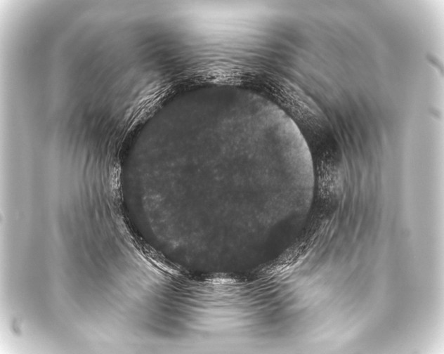 X0000093450748200711021113