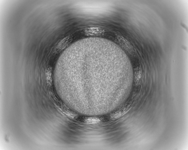 X0000093450749200711021114