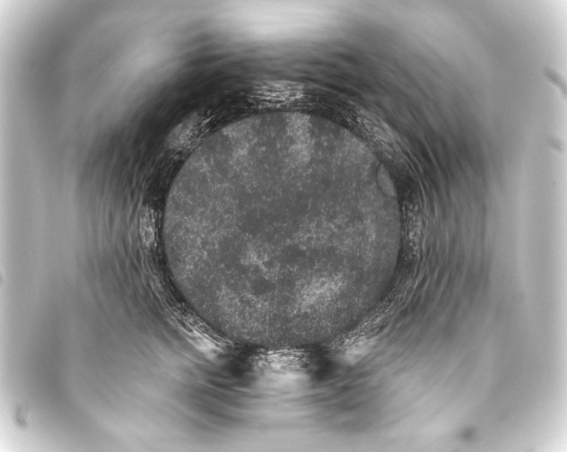 X0000093450758200711021114