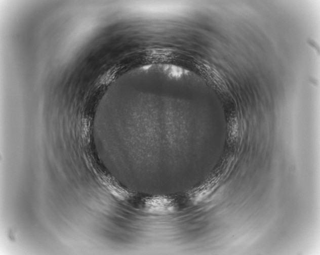 X0000093450759200711021114