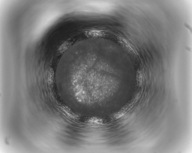 X0000093450760200711021114