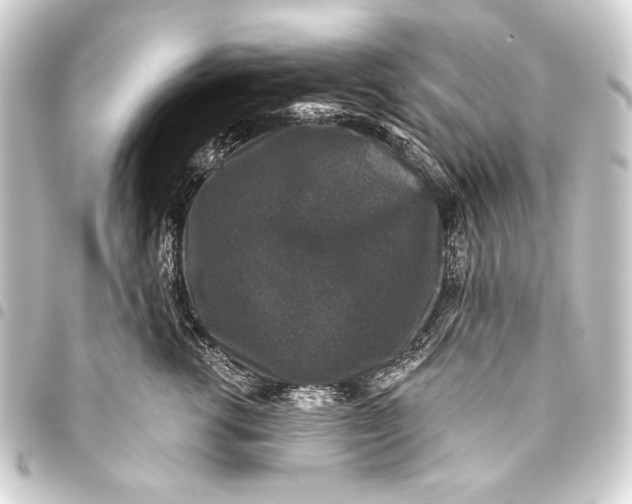 X0000093450762200711021114