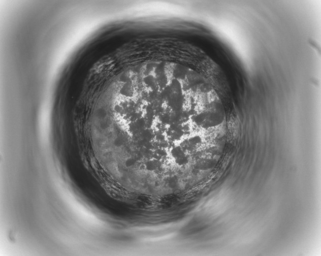 X0000093450765200711021114