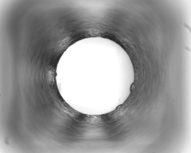 X0000093450768200711021114