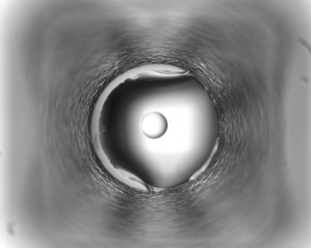 X0000093450769200711021113